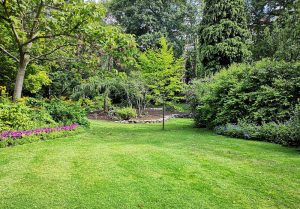 Optimiser l'expérience du jardin à Menil-sur-Saulx